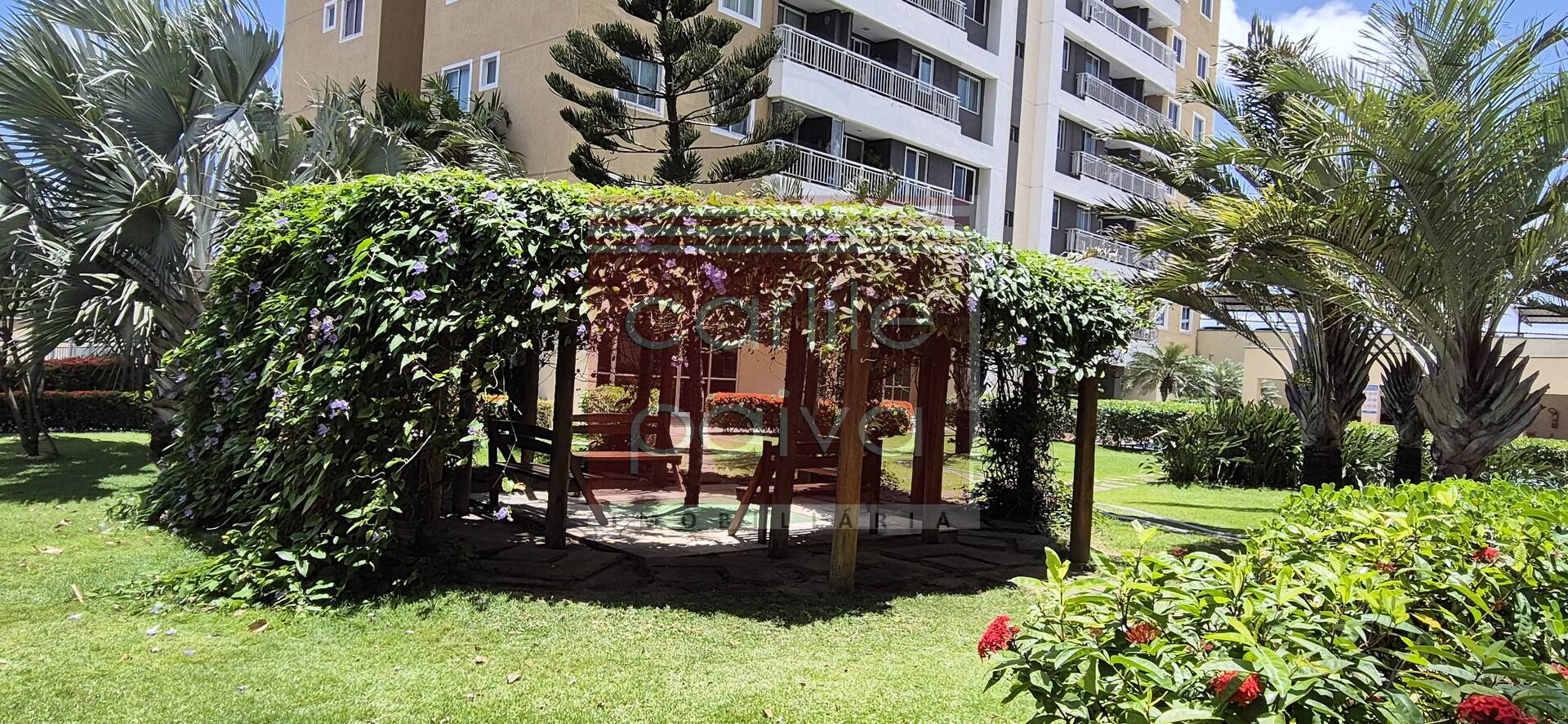 Apartamento para alugar com 3 quartos, 61m² - Foto 4