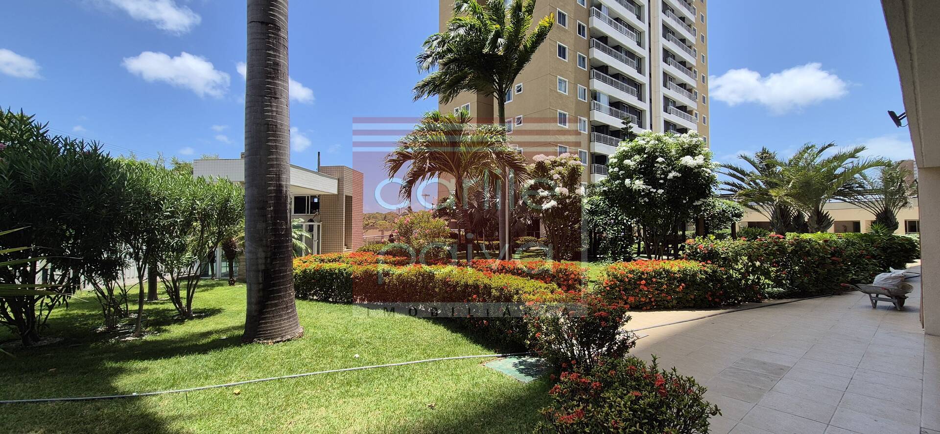 Apartamento para alugar com 3 quartos, 61m² - Foto 3